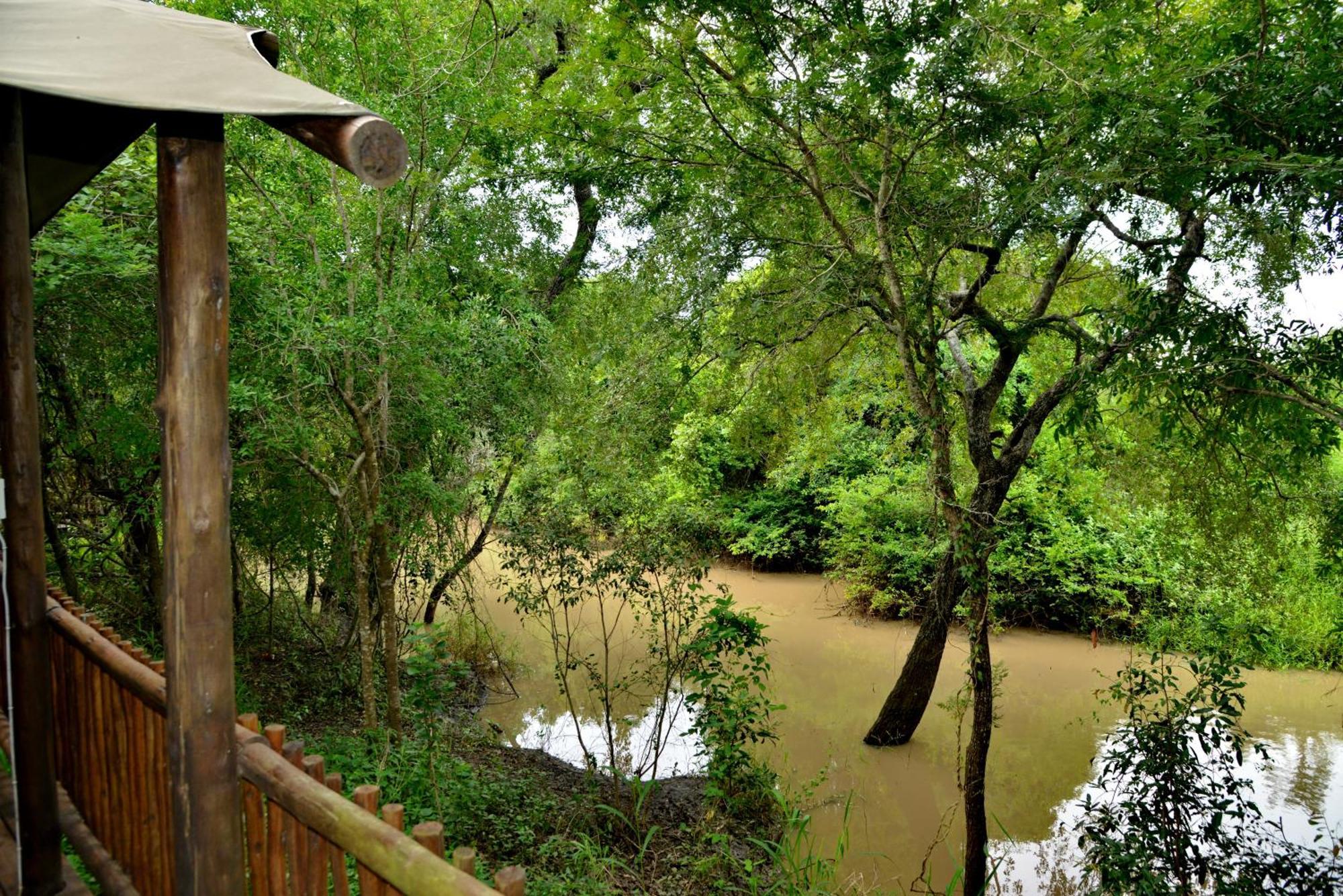 Kruger Safari Lodge Manyeleti Game Reserve Exterior foto